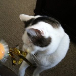 Meet your Posher, Jon